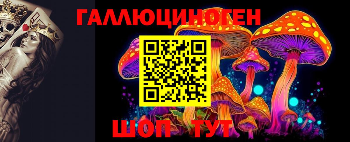 Псилоцибиновые грибы мухоморы Горячий Ключ
